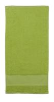 TELO PALESTRA SPUGNA 50X100 DA 400 GSM COLORE VERDE