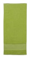 TELO PALESTRA SPUGNA 40X90 DA 350 GSM COLORE VERDE