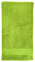 TELO PALESTRA SPUGNA 50X90 DA 350 GSM CON BANDA STAMPAB. COL. VERDE